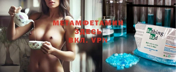 молекула духа Пересвет