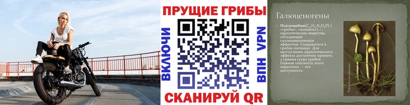 Псилоцибиновые грибы Magic Shrooms  наркошоп  Сельцо 